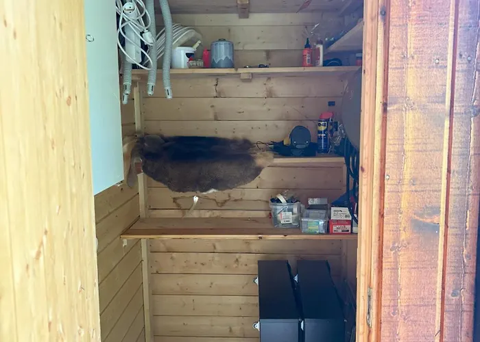 Casa vacanze Cosy In With In-ski Out To Solheisen