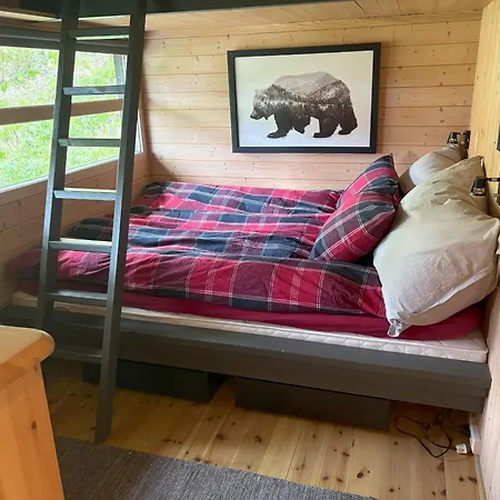 Tatil Evi Cosy In With In-ski Out To Solheisen *